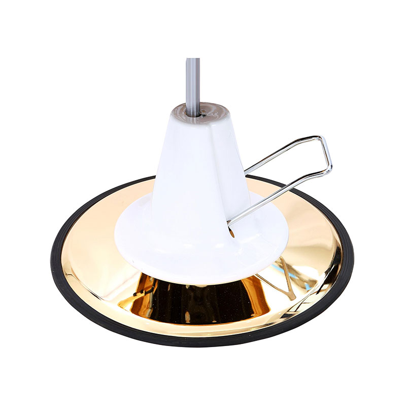 HZ22DG Vintage barber chair hydraulic pump na may gintong base