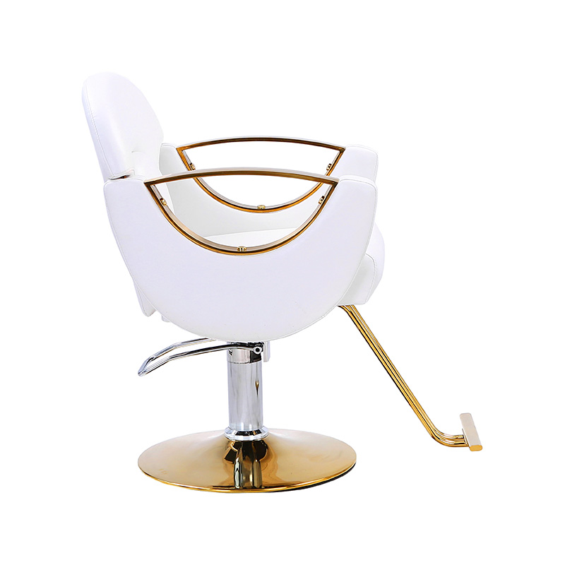 HZ8765BZ / HZ8765WZ / HZ8765PZ / HZ8765Z Light duty styling salon chair