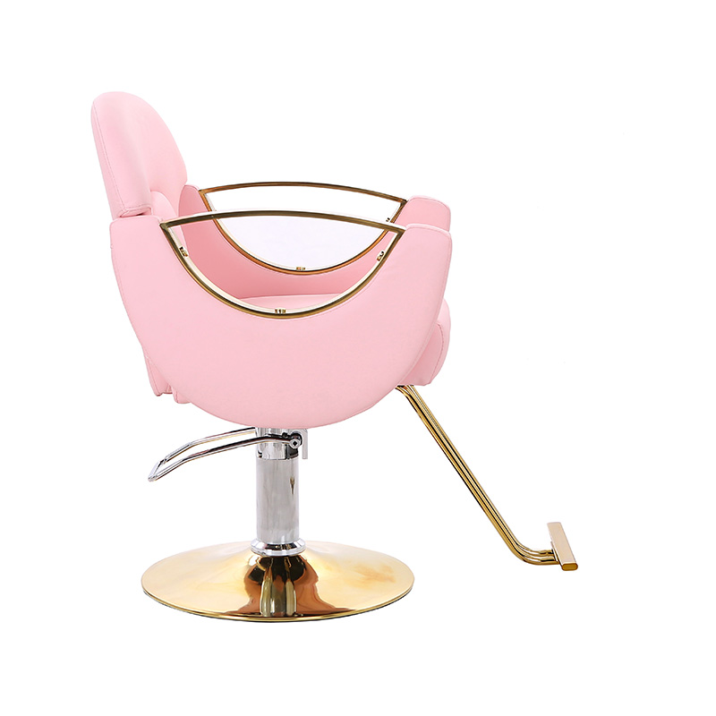 HZ8765BZ / HZ8765WZ / HZ8765PZ / HZ8765Z Light duty styling salon chair