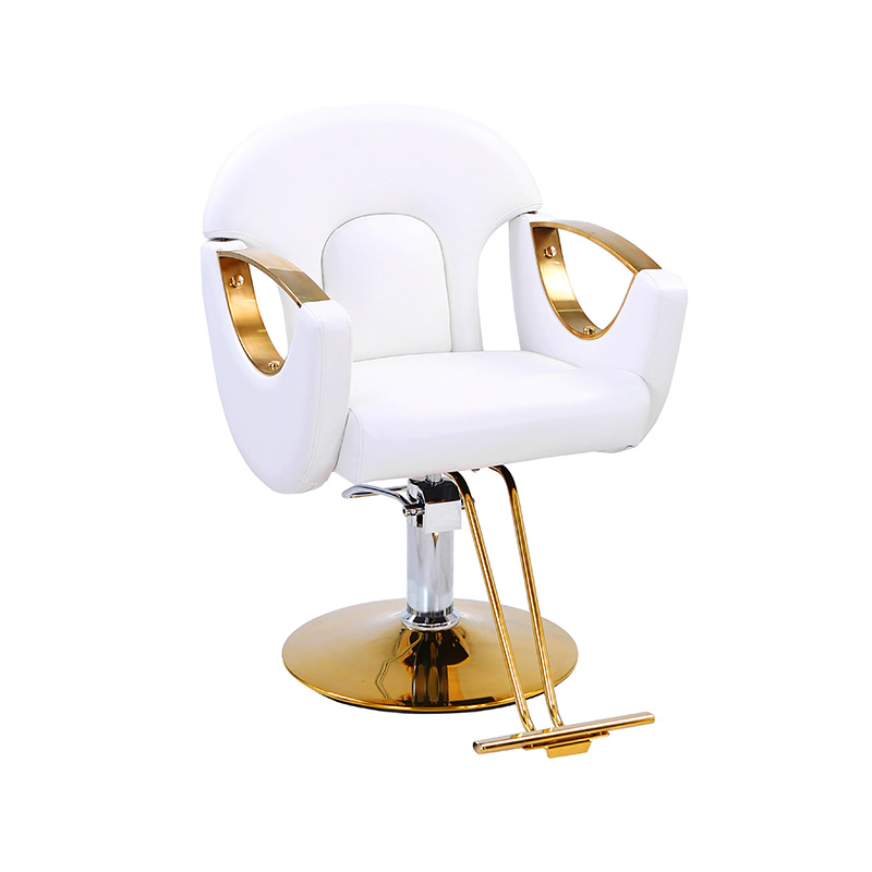 HZ8765BZ / HZ8765WZ / HZ8765PZ / HZ8765Z Light duty styling salon chair