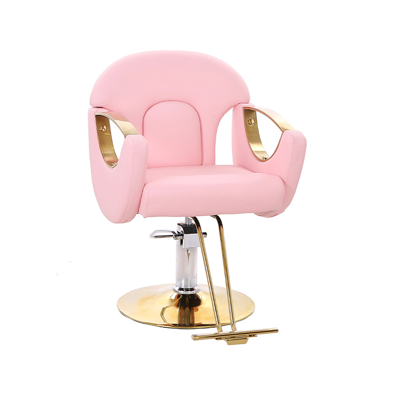 HZ8765BZ / HZ8765WZ / HZ8765PZ / HZ8765Z Light duty styling salon chair