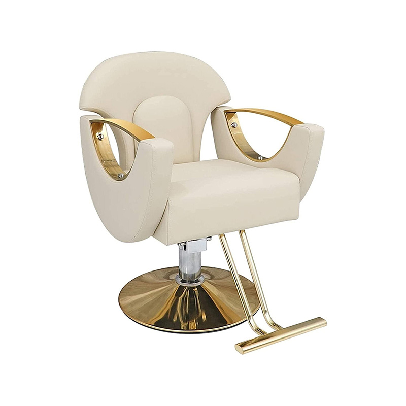 HZ8765BZ / HZ8765WZ / HZ8765PZ / HZ8765Z Light duty styling salon chair